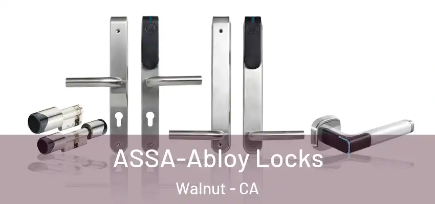  ASSA-Abloy Locks Walnut - CA