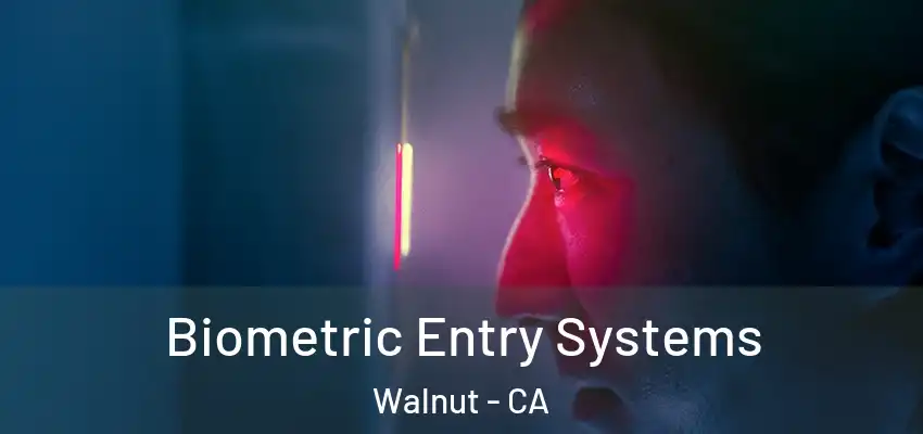  Biometric Entry Systems Walnut - CA