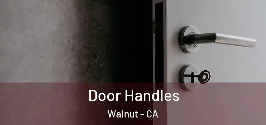 Door Handles Walnut - CA