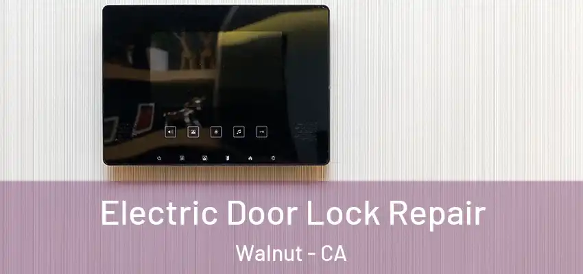  Electric Door Lock Repair Walnut - CA