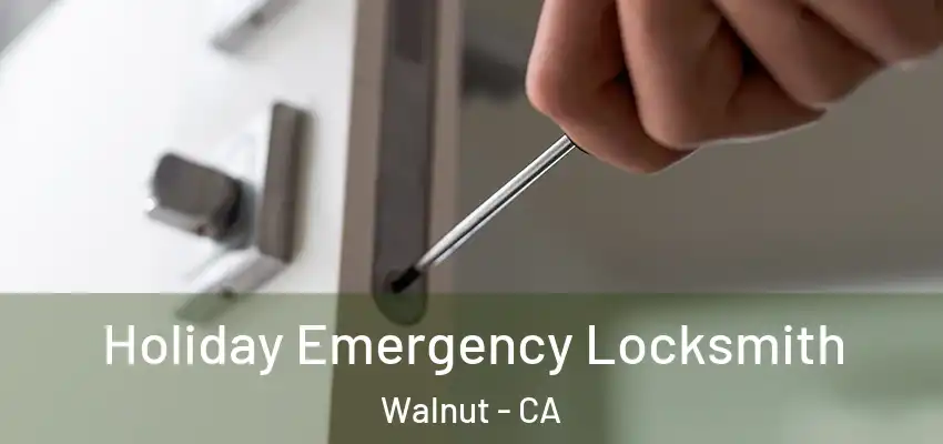  Holiday Emergency Locksmith Walnut - CA