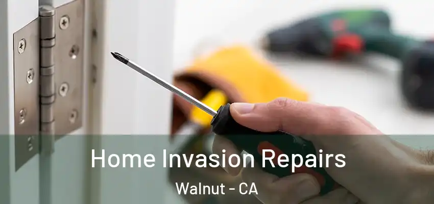  Home Invasion Repairs Walnut - CA