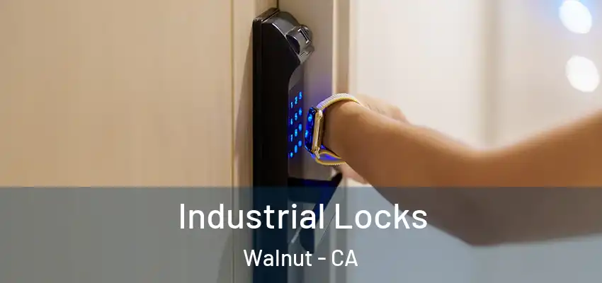 Industrial Locks Walnut - CA