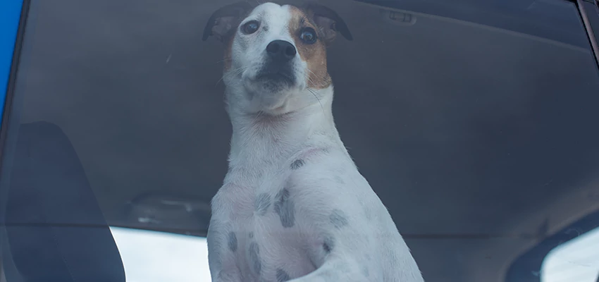 Car Lockout Solutions in Walnut, California