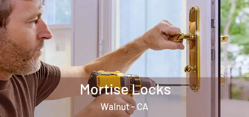  Mortise Locks Walnut - CA