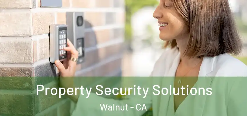  Property Security Solutions Walnut - CA