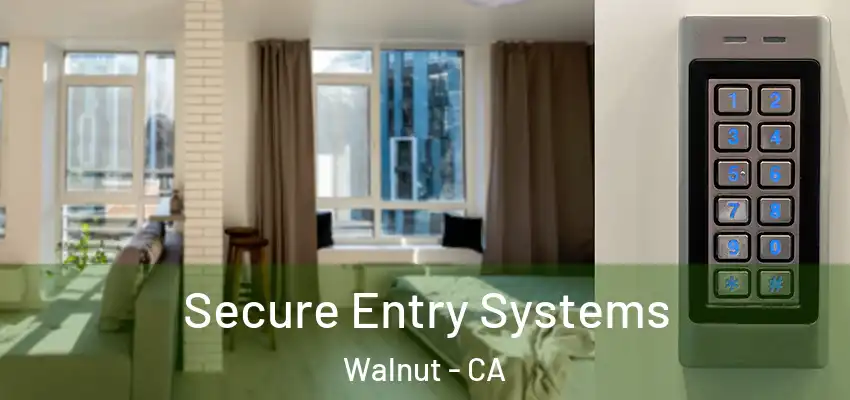  Secure Entry Systems Walnut - CA